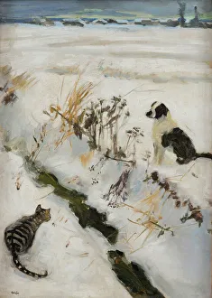 Symbolism Collection: Cat and Dog