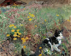 Feline Prints: Cat on a flowery meadow, 1887. Creator: Bruno Liljefors
