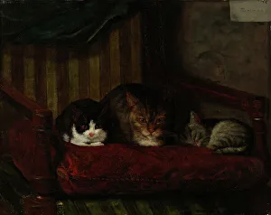 Kitten Prints: Cat with Kittens, 1863. Creator: Adolf von Becker