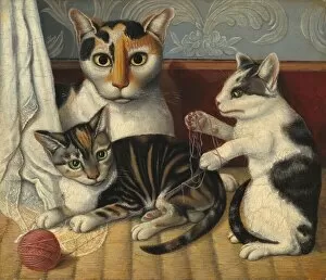 Cat and Kittens, c. 1872 / 1883. Creator: Unknown