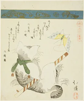 Claw Prints: Cat Playing with a Toy Butterfly, from the series