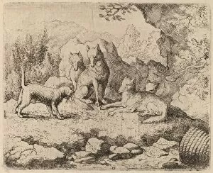 Anthropomorphic Gallery: The Cat Sent as Messenger, probably c. 1645 / 1656. Creator: Allart van Everdingen