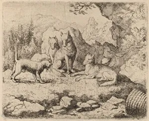 Aldret Van Everdingen Prints: The Cat Sent as Messenger, probably c. 1645 / 1656. Creator: Allart van Everdingen