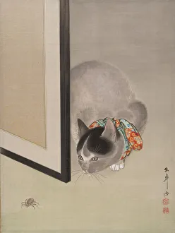 Felines Prints: Cat Watching a Spider, ca. 1888-92. Creator: Toko Oide