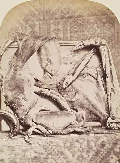 John Everett Prints: The Catch, Perthshire, from an album compiled by Sir John Everett Millais