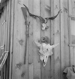Trophies Prints: Side of Cates new house, Malheur County, Oregon, 1939. Creator: Dorothea Lange