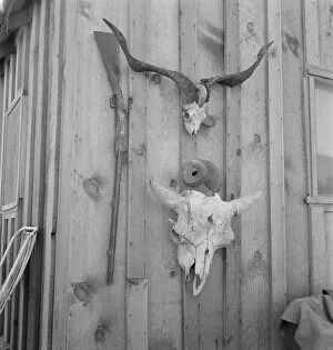 Skull Gallery: Side of Cates new house, Malheur County, Oregon, 1939. Creator: Dorothea Lange