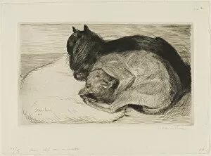 A T Steinlen Gallery: Two Cats on a Cushion, 1914. Creator: Theophile Alexandre Steinlen
