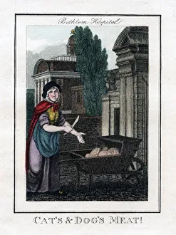 Handcart Prints: Cats and Dogs Meat!, Bethlem Hospital, London, 1805