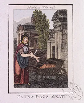 Craig Gallery: Cats and Dogs Meat!, Cries of London, 1804