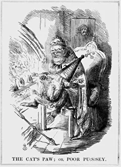 The Cats Paw: or Poor Pu(s)sey, 1850