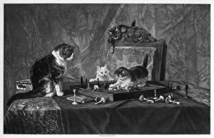 Cute Gallery: Cats playing with a chessboard.Artist: Goupil and Co