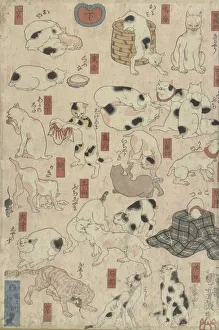 Cats. From the Series Fifty-three Stations of the Tokaido, 1848-1849