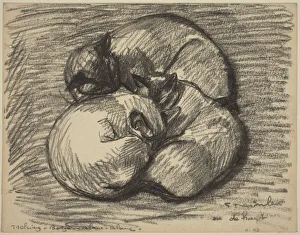 Pets Gallery: The Cats: Tsching, Batzar and Blanc-Blanc, late 19th-early 20th century
