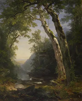 Sycamore Prints: The Catskills, 1859. Creator: Asher Brown Durand