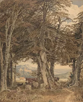 Barrett Collection: Cattle and Sheep at Resting at the Edge of a Forest, ca. 1840