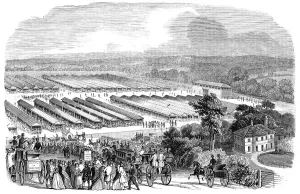 Marquees Prints: The Cattle Show, Portswood, 1844. Creator: Unknown