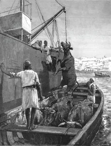 Hoist Prints: The Cattle Trade -- Landing Bullocks at Tangier