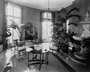 Houseplant Prints: The Causeway, James Parmelee house