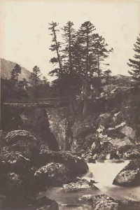 Pines Prints: Cauterets, Pont d Espagne, 1853. Creator: Joseph Vigier