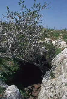 Caves Prints: The Cave of Eileithyia