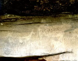 Prehistory Collection: Cave paintings in the Abrigo del Navazo