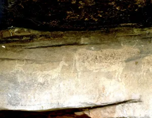 Prehistory Collection: Cave paintings in the Abrigo del Navazo