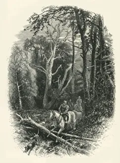 In Cedar Walk, Virginia Water, c1870