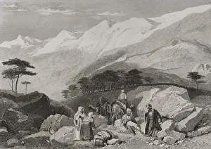 Cedars, Mount Lebanon, 1840. Creator: Charles Nicolas Ransonnette
