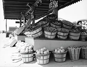 Center Market, Washington, D.C. 1936. Creator: Dorothea Lange