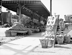 Produce Prints: Center Market, Washington, D.C. 1936. Creator: Dorothea Lange