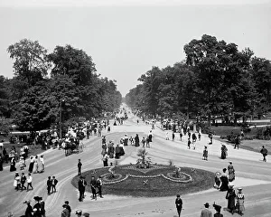Detroit Prints: Central Avenue, Belle Isle Park, Detroit, Mich. between 1900 and 1910. Creator: Unknown