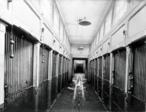 Enclosure Prints: The central corridor of the vivarium (animal house) with cages for the animals