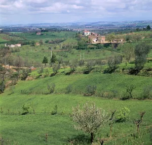 Chiusi Gallery: Central Italy near Chiusi