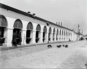 Vulture Prints: Central market & buzzards, Charleston, S