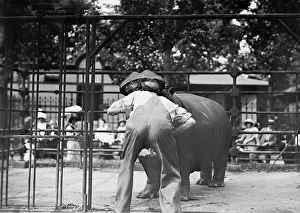 Trick Prints: Central Park - man with head in hippo's mouth