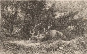 Bodmer Karl Prints: Cerf a la Reposee. Creator: Karl Bodmer