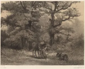 Bodmer Karl Prints: Cerfs au Gagnage. Creator: Karl Bodmer