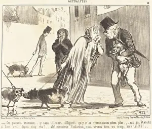 Aged Prints: Ces pauvres animaux...y sont tellement defigures qu'y n'se reconnaissent meme plus