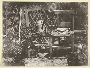 Potted Plants Gallery: Chaise dans un Jardin, 1842 / 50, printed 1965. Creator: Hippolyte Bayard