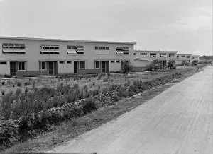 Chandler project, Farm Security Administration, Arizona, 1938. Creator: Dorothea Lange