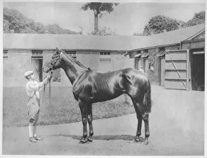 Stable Prints: Chandon, 1911