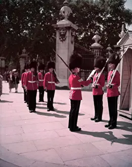 Tradition Prints: Changing of the Guard, Buckingham Palace