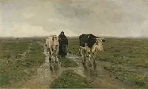 Anton Mauve Gallery: Changing Pasture, ca. 1880s. Creator: Anton Mauve
