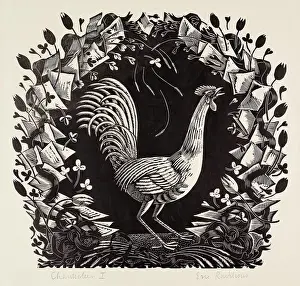 Tulipa Prints: Chanticleer I, c1930. Creator: Eric Ravilious