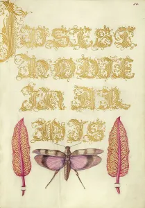 Grasshopper Prints: Chard Leaves and Red-Winged Grasshopper