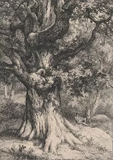 Blery Eugene Stanislas Alexandre Gallery: The Charlemagne, Oak Tree with an Eagles Nest, 1845. Creator: Eugene Blery