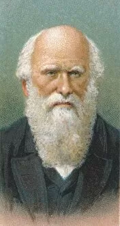 Charles Darwin (1809-1882), British naturalist, 1924