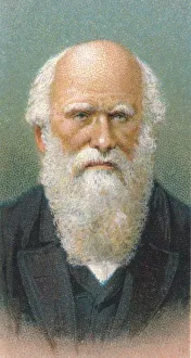 Theory Of Evolution Prints: Charles Darwin (1809-1882), British naturalist, 1924