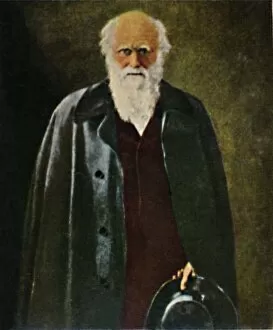 Eckstein Halpaus Gmbh Gallery: Charles Darwin 1809-1882. - Gemalde von Collier, 1934